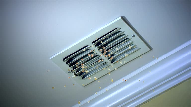 Best HVAC Maintenance and Cleaning  in Honeyville, UT